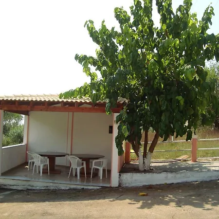 Pink House Socrates Vitalades