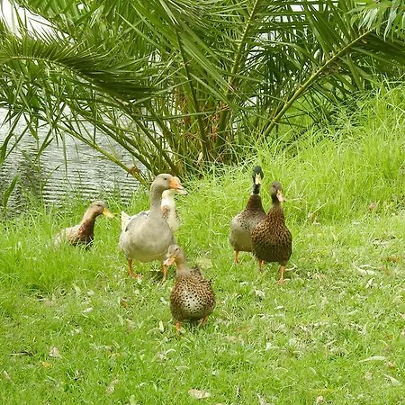 Pink House Socrates Corfu Beachside Retreats